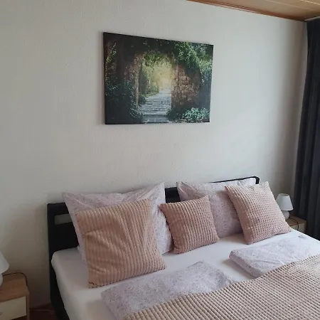Haus Damian 아파트 *