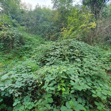 Haus Damian Apartmán *