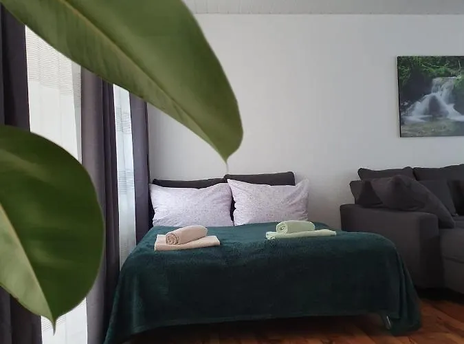 Haus Damian 公寓 *